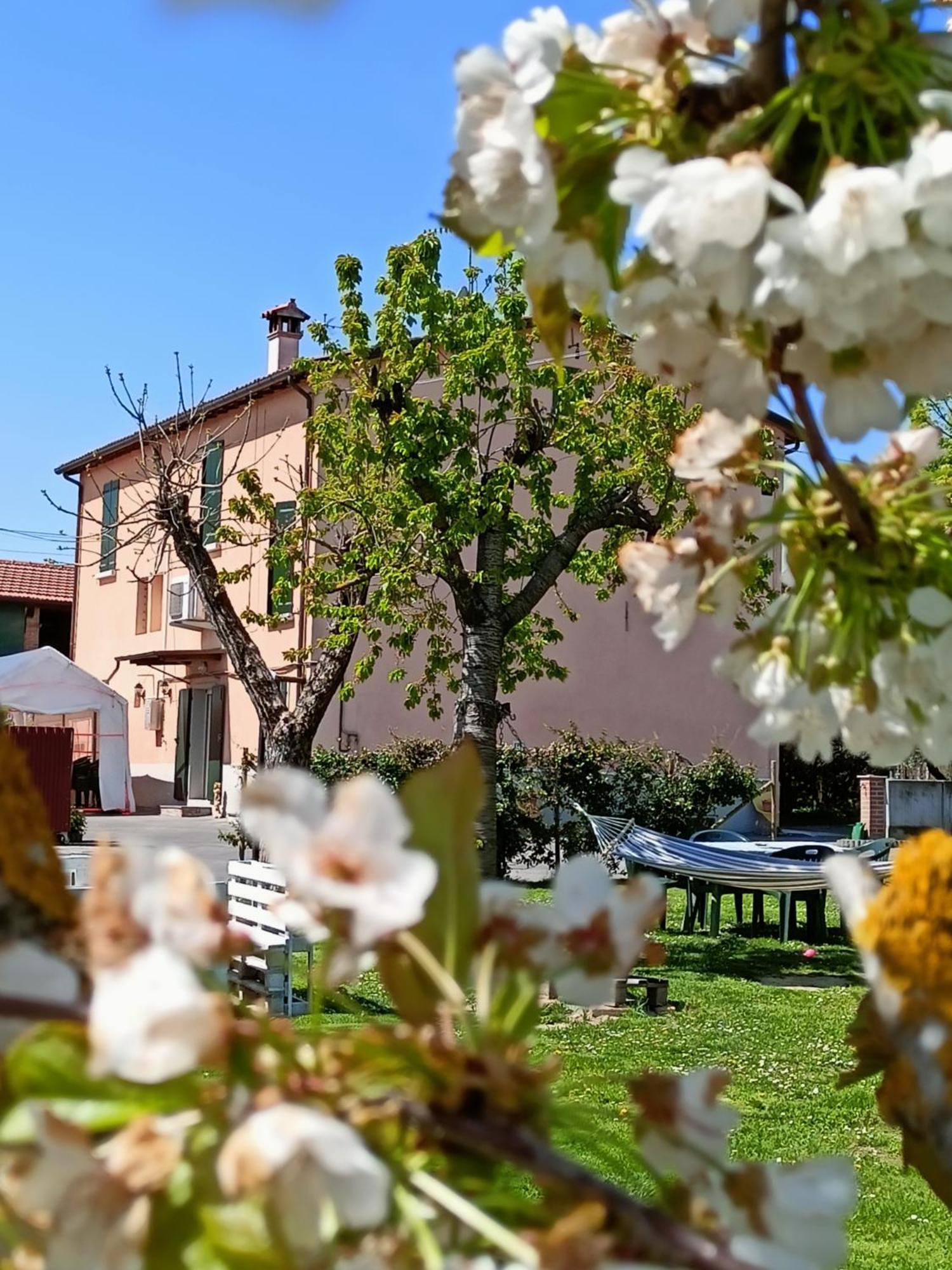 Bed and Breakfast La Casa Della Nonna Бризигелла Экстерьер фото